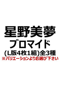 【アイディール・セミナー】星野美夢ブロマイド