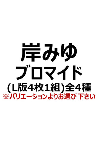 【アイディール・セミナーPrologue】岸みゆ